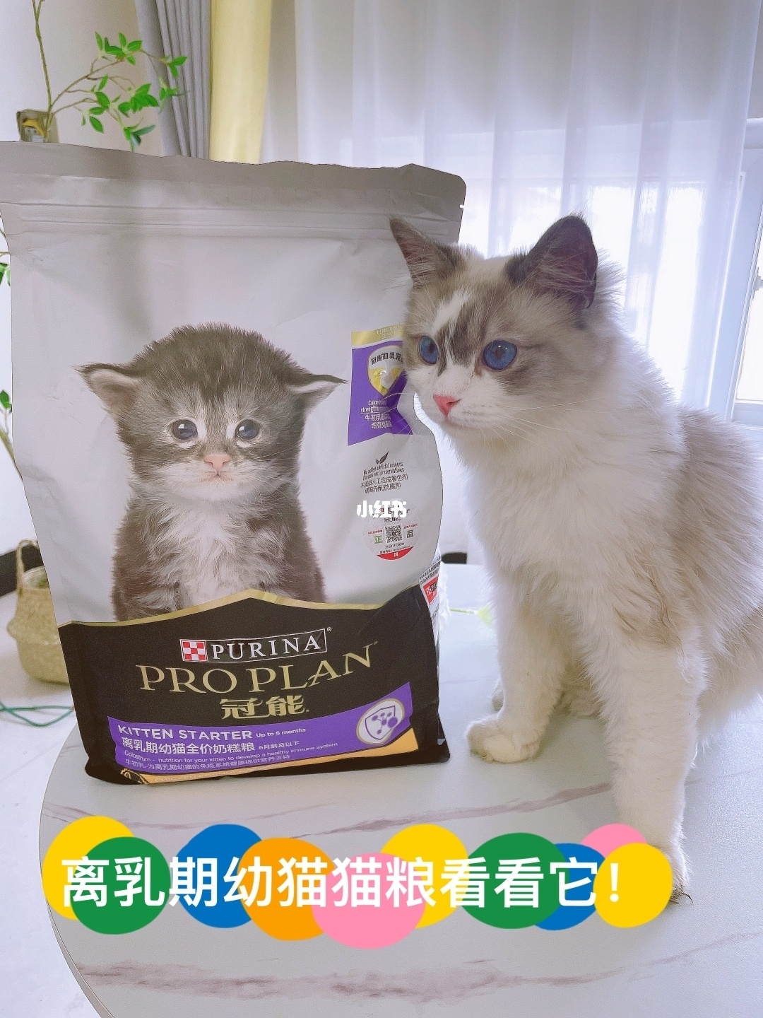 小雄艳妇乳肉豪妇荡乳全文阅读_小雄艳妇乳肉豪妇荡乳全文阅读_小雄艳妇乳肉豪妇荡乳全文阅读