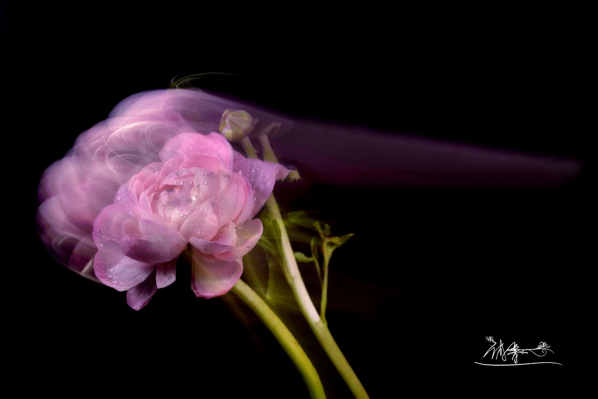 花唇吐露_花唇吐露_花唇吐露