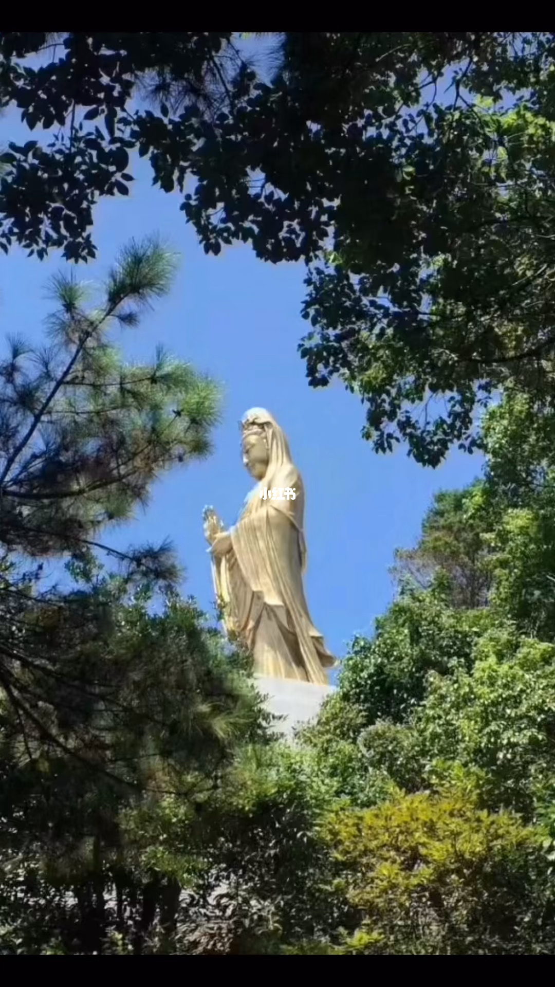 梦幻西游普陀山技能介绍_梦幻西游普陀山带什么套装好_梦幻西游普陀山