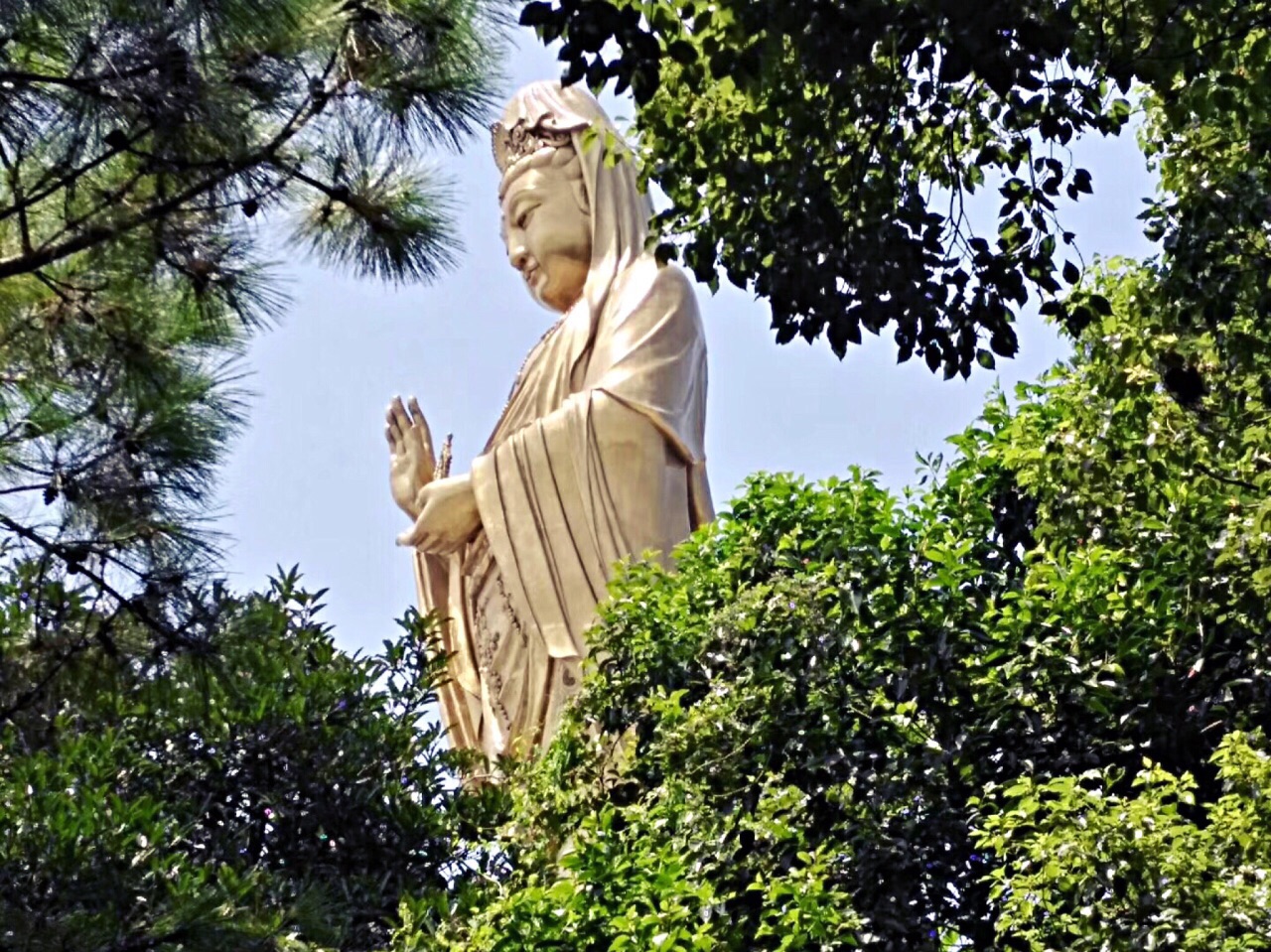 梦幻西游普陀山带什么套装好_梦幻西游普陀山技能介绍_梦幻西游普陀山
