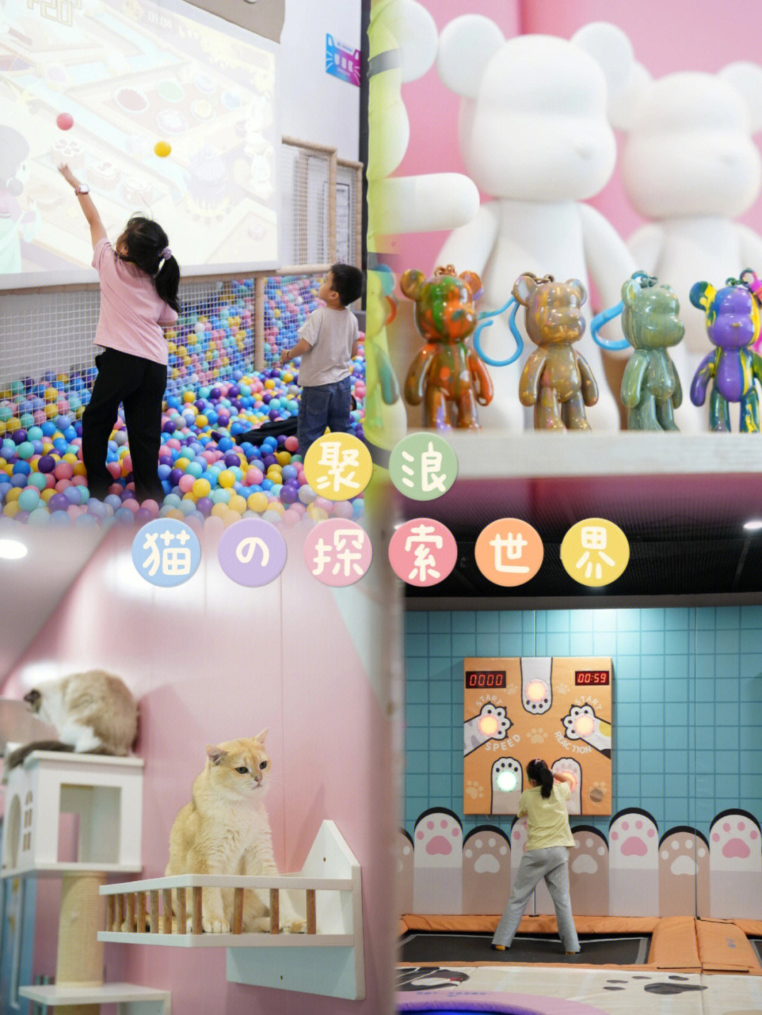 猫咪社区在线观看入口网站_在线免费观看电影的网站_猫咪在线官方社区appios