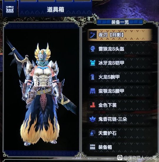 怪物猎人崛起攻略_崛起猎人s_猎人崛起怪物攻略图