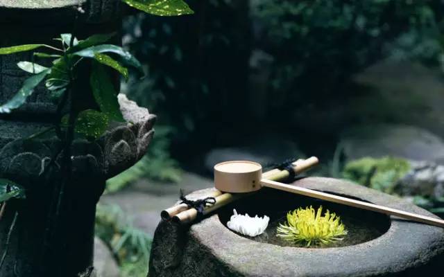 障月_障月阿修罗_障月歌词