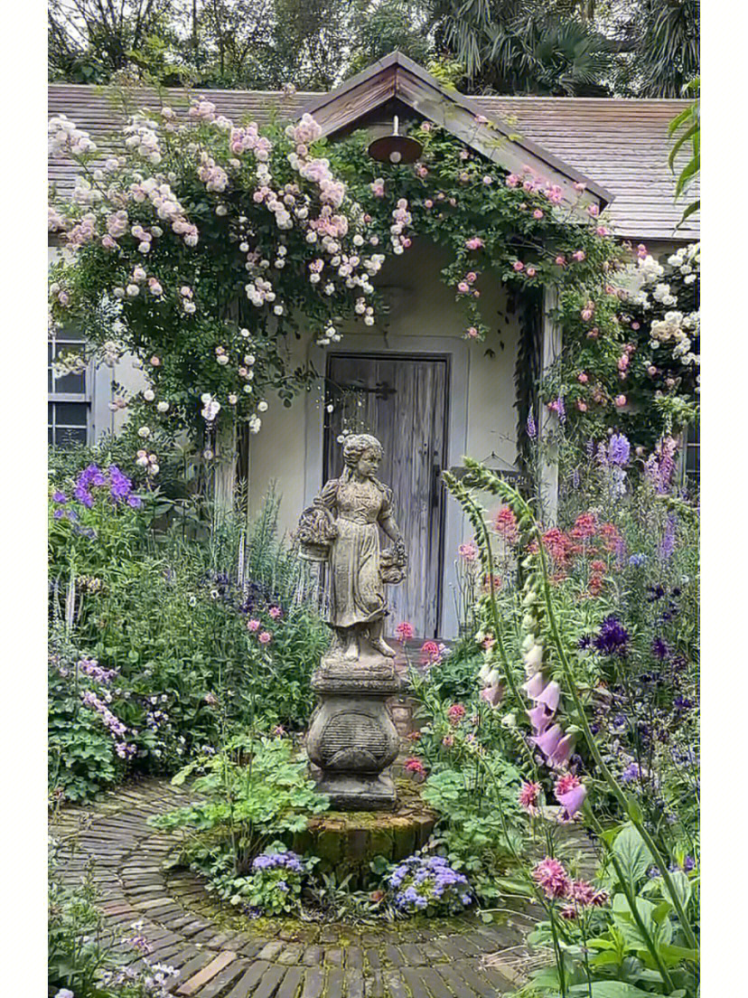 花园时光鲜花_花园时光多肉植物书_时光花园