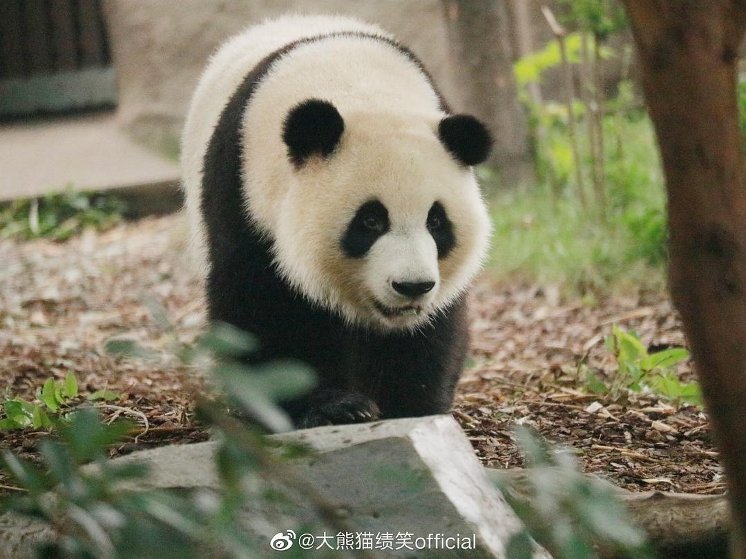 色小妹在线视频_色小妹在线视频_色小妹在线视频