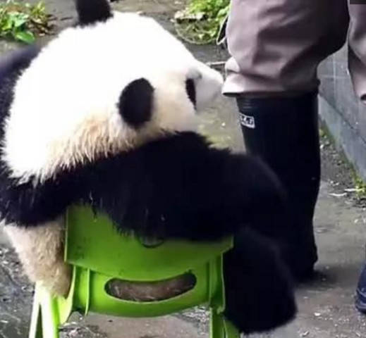 色小妹在线视频_色小妹在线视频_色小妹在线视频