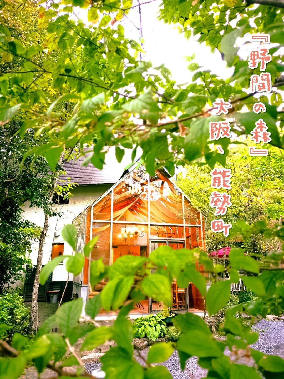 番禺大树头森林餐厅_森林餐厅_森林餐厅图片