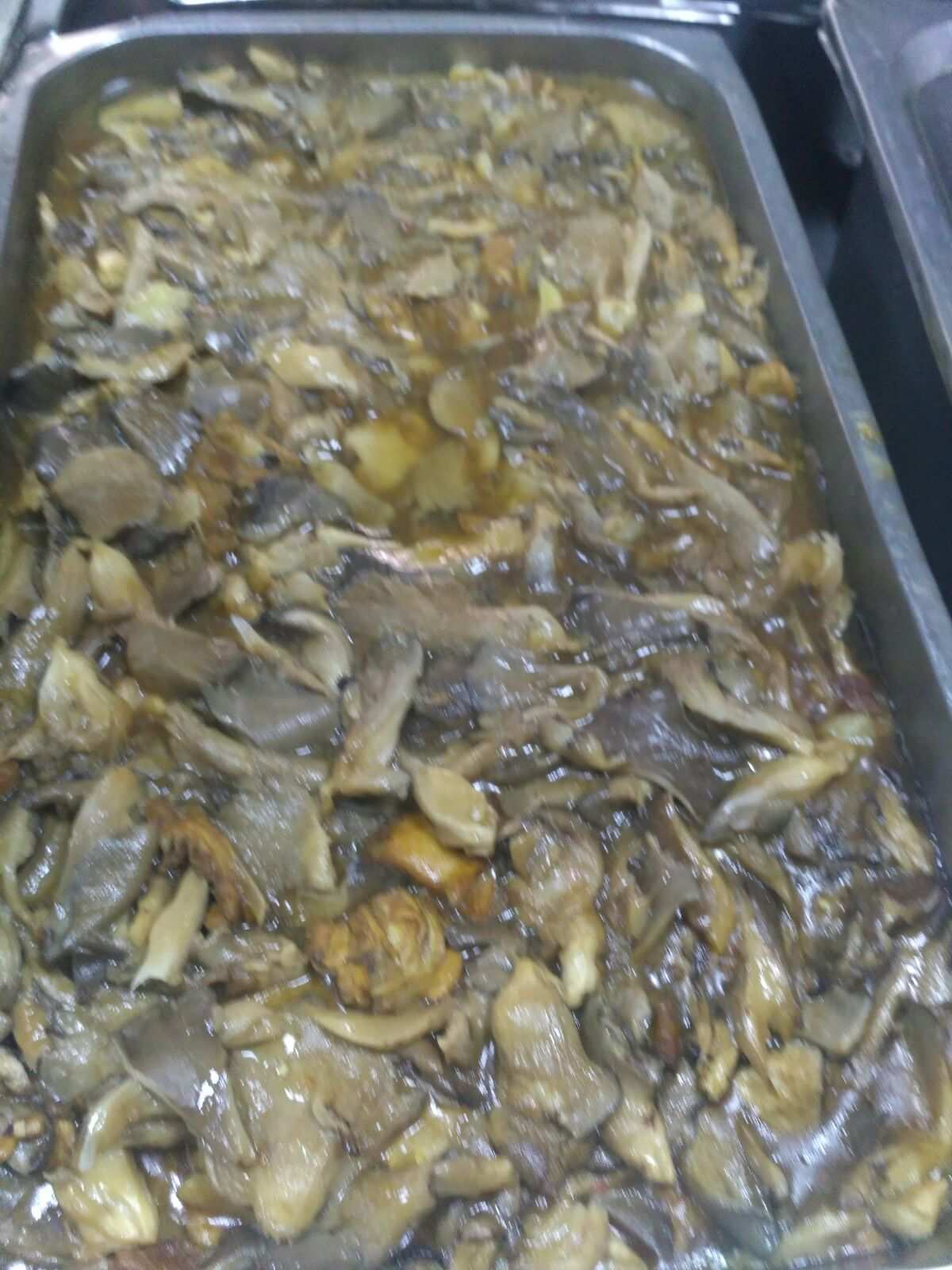 鬼宿奇遇：惊悚内置菜单版震撼上线