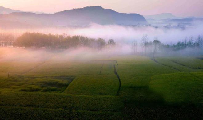 雾纪海行祭典在哪_雾海纪行_雾海纪行剧情