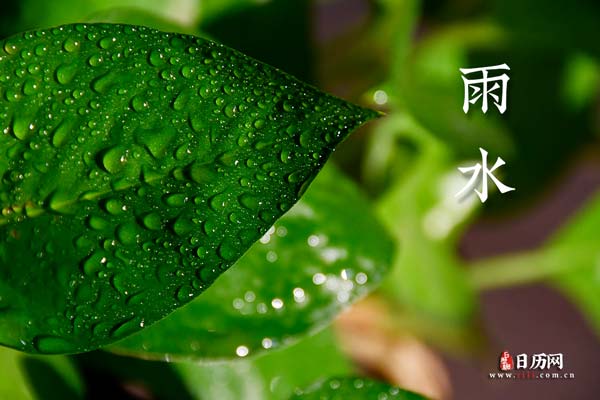 雨一字开花_雨打一字_一字一下