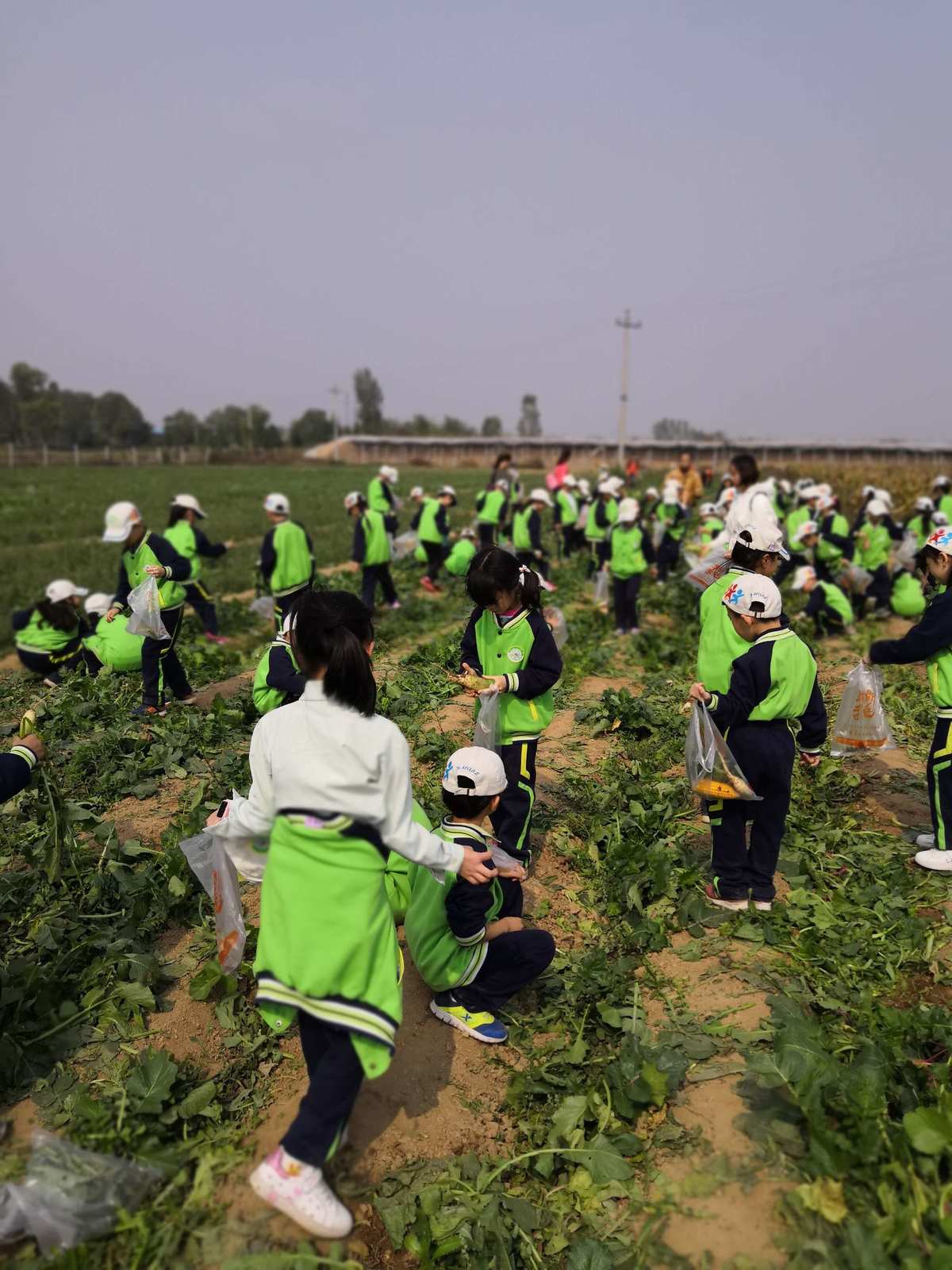 富豪牧场下载_牧场大富豪_牧场大富豪100元能提现吗