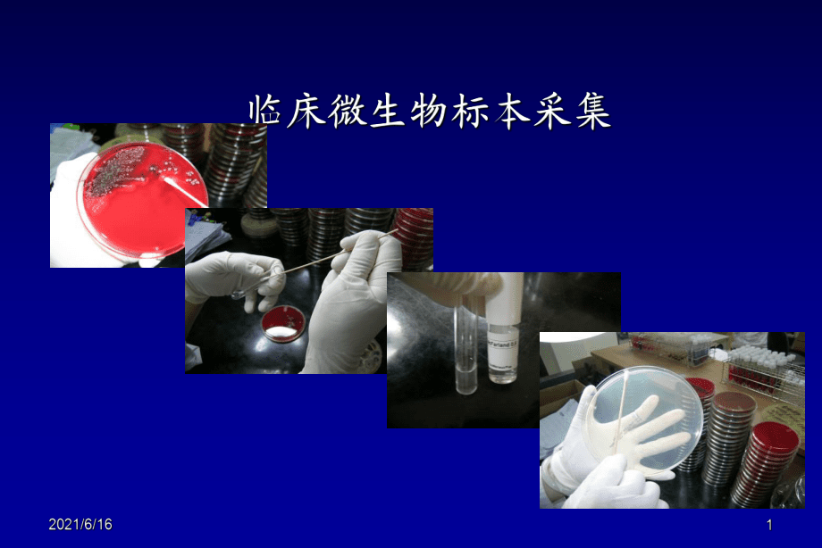 标本制作的方法_标本零_标本是什么