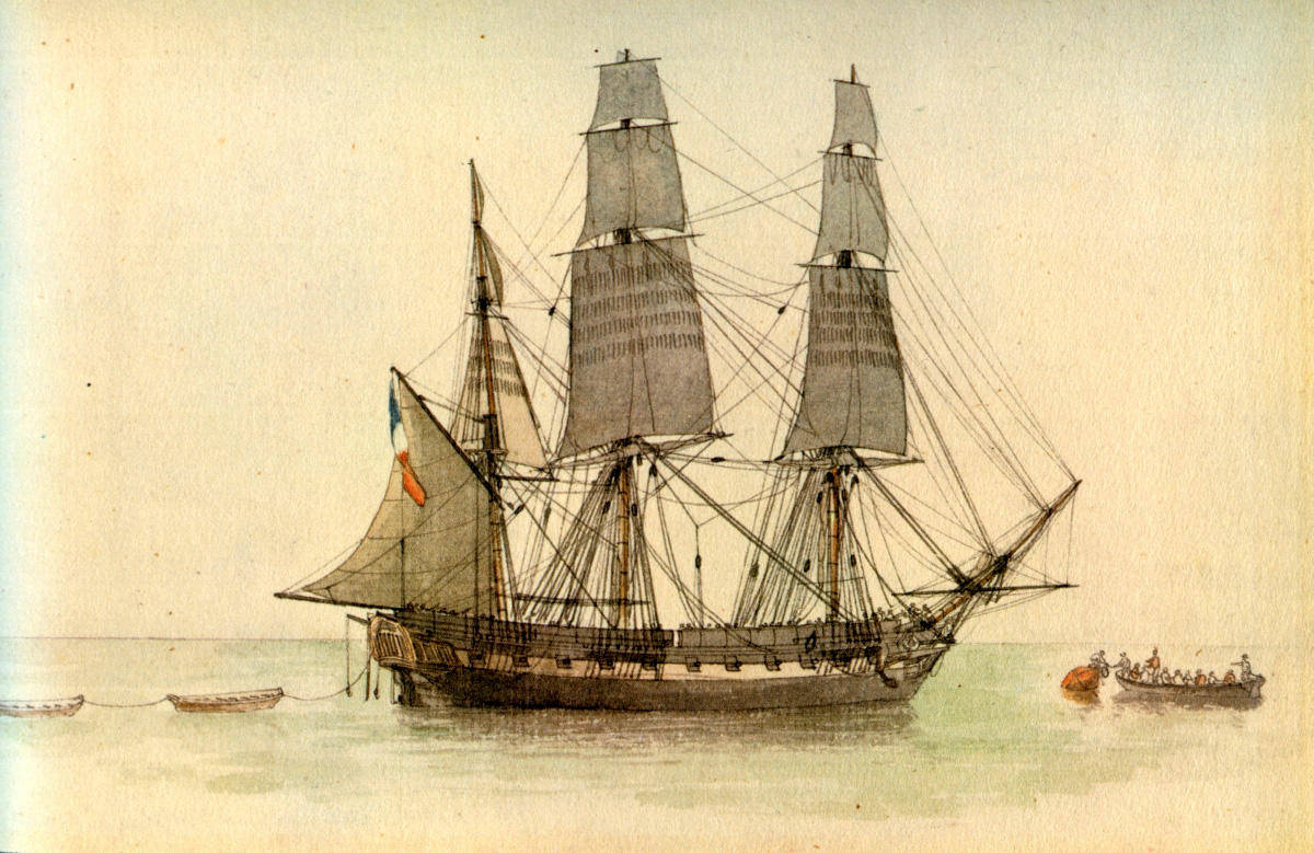 代号航海手机游戏_《代号z》手游官网下载_代号gaia手游下载