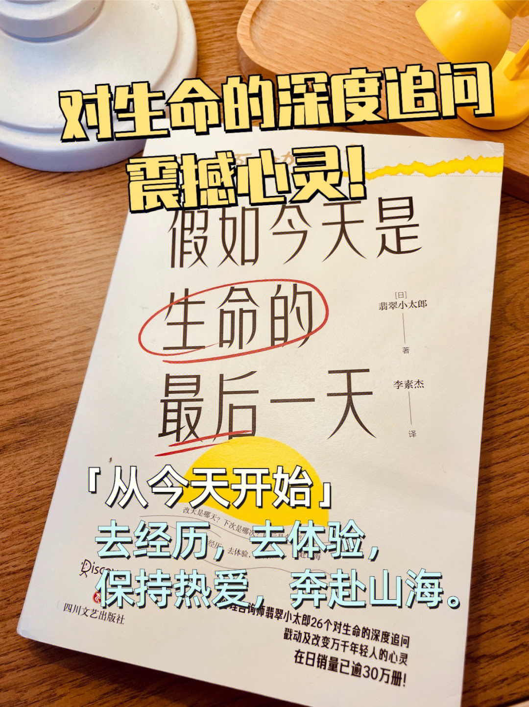 手机内的游戏_zg手机游戏_手机游戏n