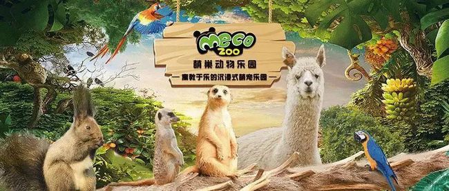 动物乐园游戏手机版_动物乐园手机游戏_乐园动物手机游戏大全