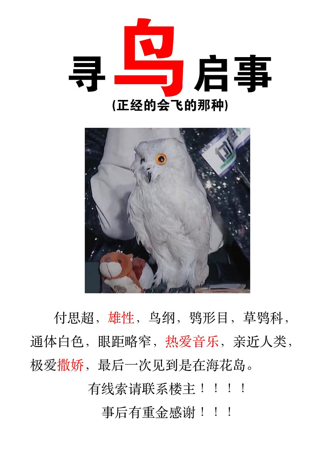 dnf花花魔法背击_dnf巴拉克的愤怒背击_dnf鸟背在哪