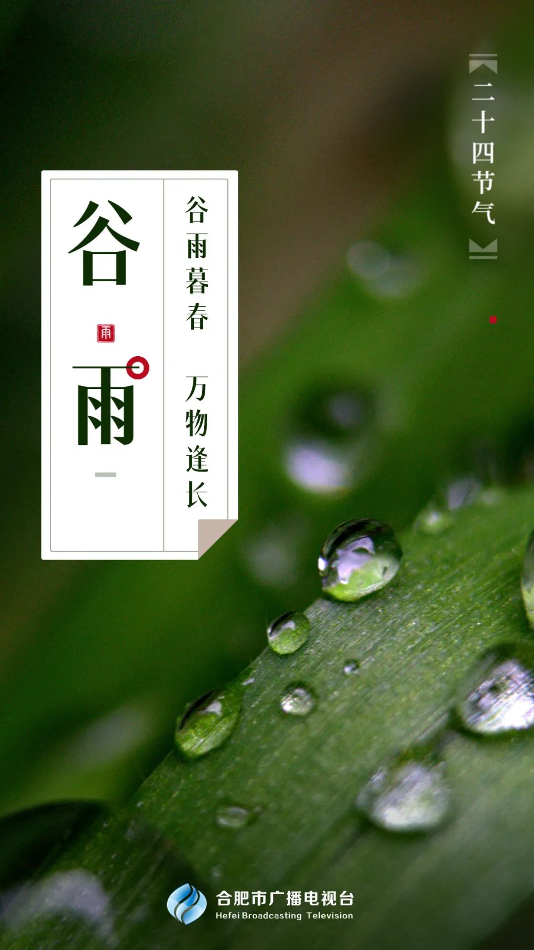 谷雨时节已时值暮春_谷雨知时节_谷雨知时节是啥意思