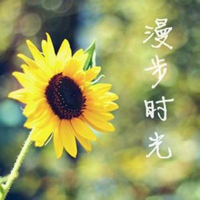 成长史手机游戏作文_成长史作文600字_成长史的作文