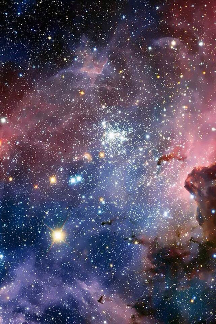 一切都是瞬息_瞬息全宇宙蓝光_瞬息与永恒的舞蹈