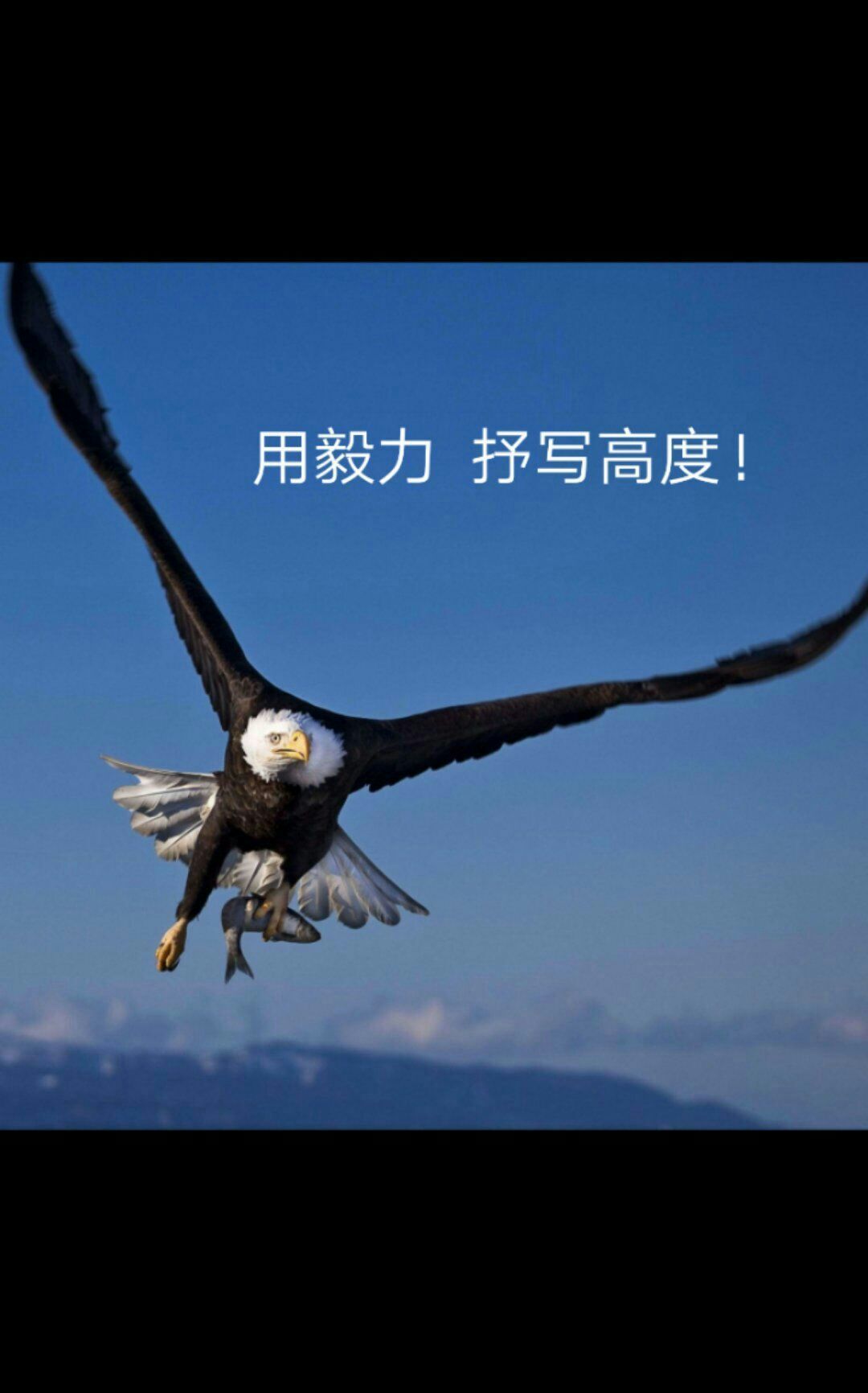 《猎鹰突起》_猎鹰突起_猎鹰突起猎鹰突起