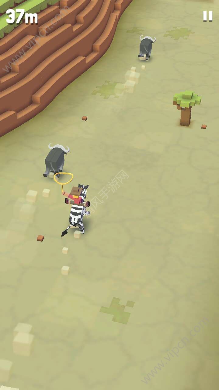 音速犬_音速犬_音速犬