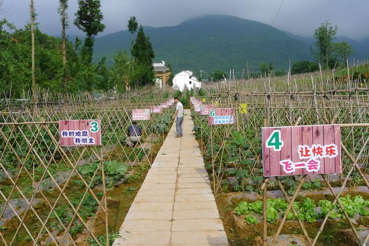 单机的农场手机游戏_农场单机小游戏_农场单机手机游戏大全