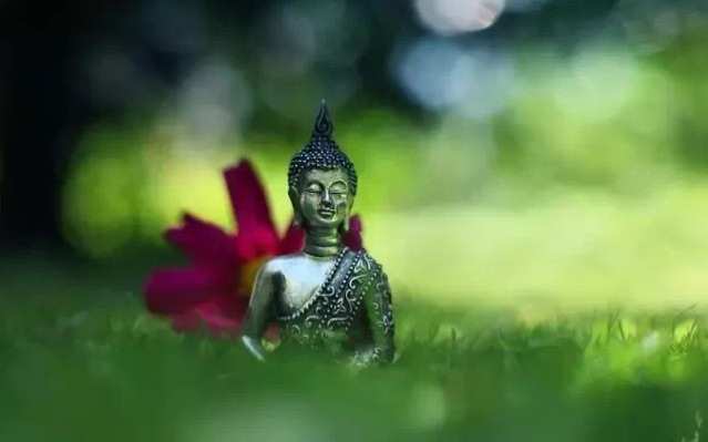 宫水三叶漂亮吗_宫水三叶长大后_宫水三叶