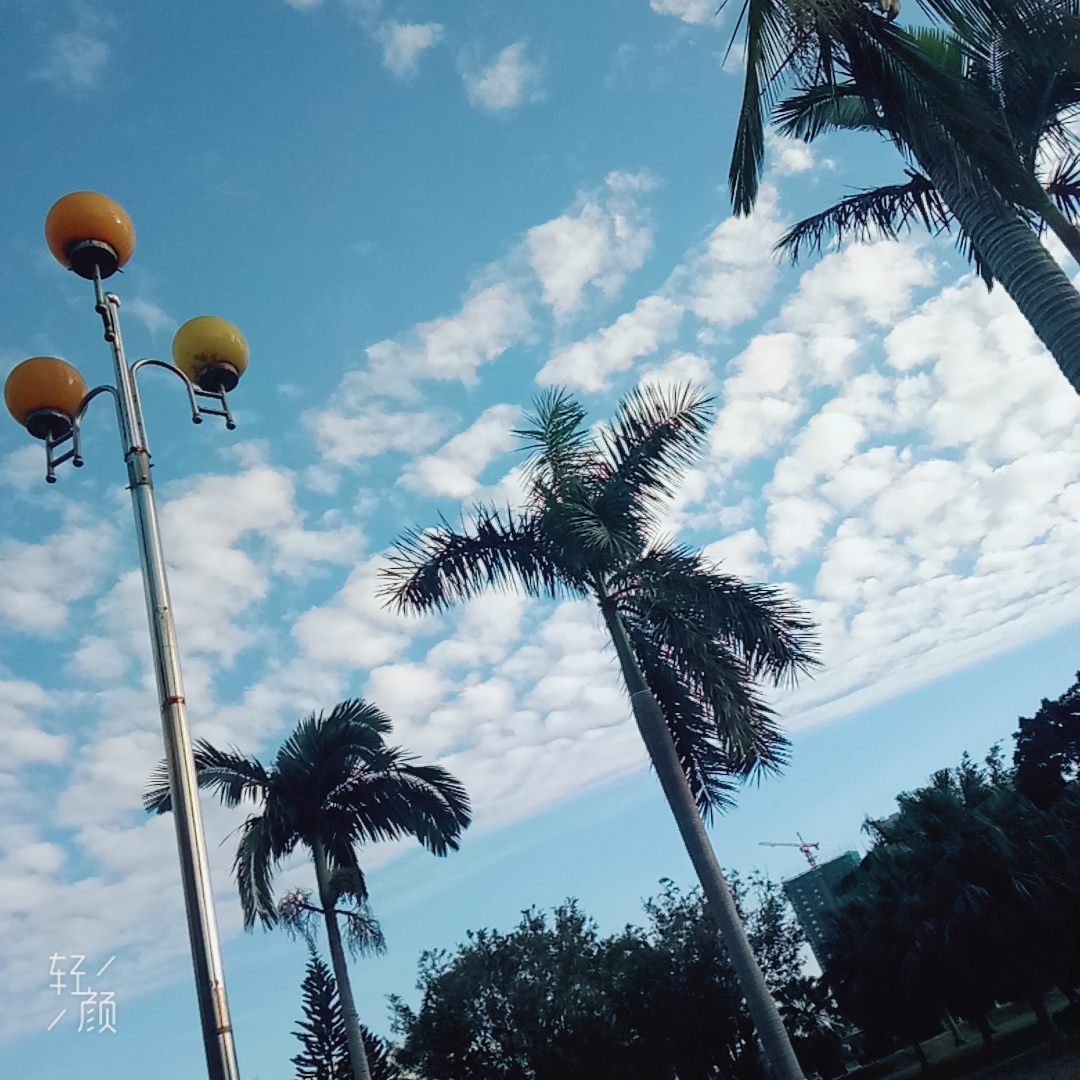 绵月依姬-慢节奏生活，让你更享受生活、减轻压力、提高生活质量