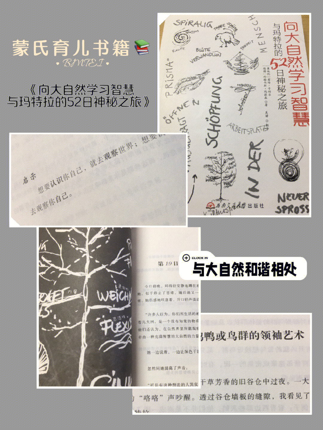 达鲁伊技能_达鲁伊带什么秘卷好_达鲁伊