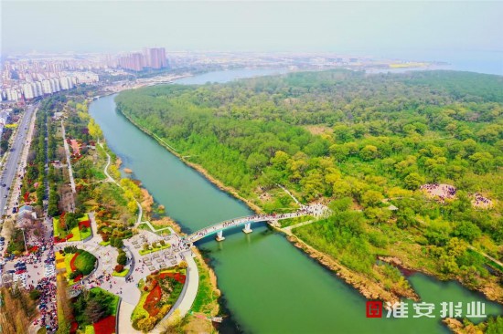 绵**水苏_绵**水苏_绵**水苏