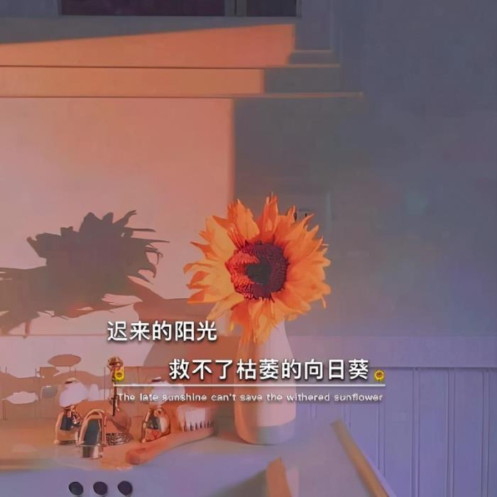 抖音吸引人的封面文字_抖音封面写什么文字会火_抖音封面文字怎么写吸引人
