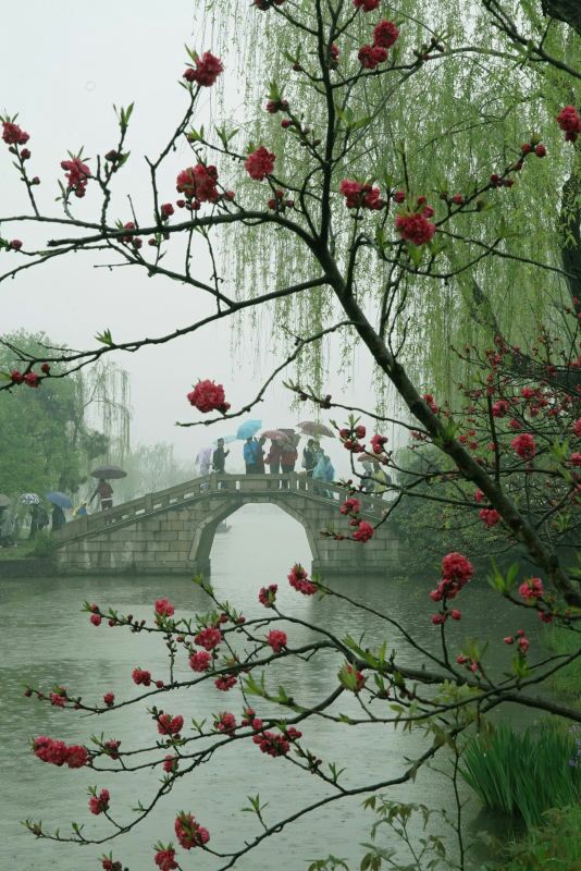 清明唐杜牧清明时节雨_清明时节雨的意思_清明时节雨纷纷古诗