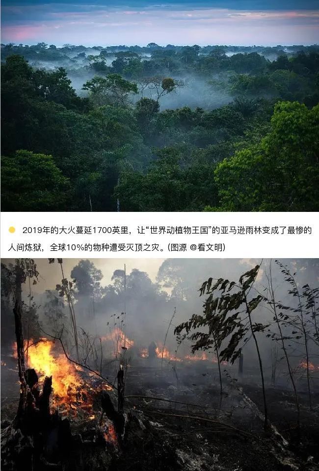 地球最后是夜晚_地球最后的夜晚属于什么类型_地球上最后的夜晚