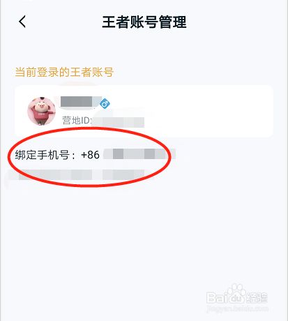用手机号绑定游戏会有风险吗_手机号绑定游戏有什么危害_不用绑手机号就能玩的游戏