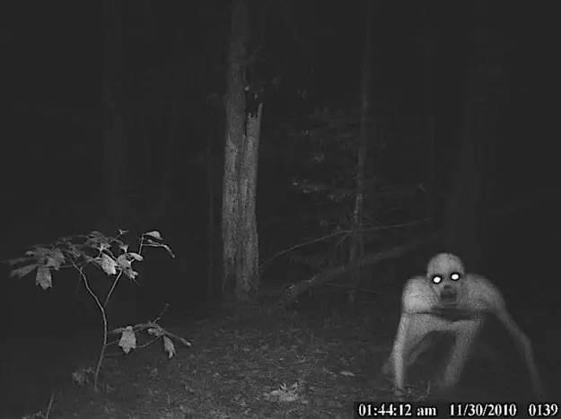 beetlejuice_beetlejuice图解_beetlejuice怎么读