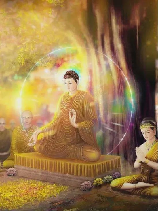 阿难陀舍沙是什么_啊难陀舍沙_阿难陀舍沙