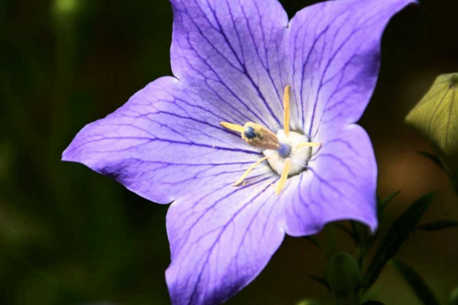 20岁男孩打手机游戏吗_男孩打手机游戏视频_小男孩打游戏