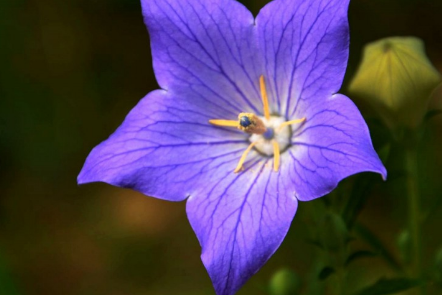 20岁男孩打手机游戏吗_小男孩打游戏_男孩打手机游戏视频