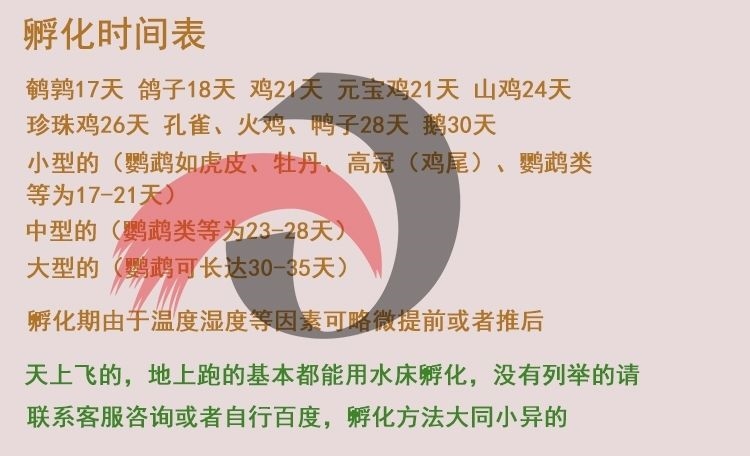 孵蛋游戏_孵鸡蛋图片_孵鸡蛋游戏下载安卓手机版