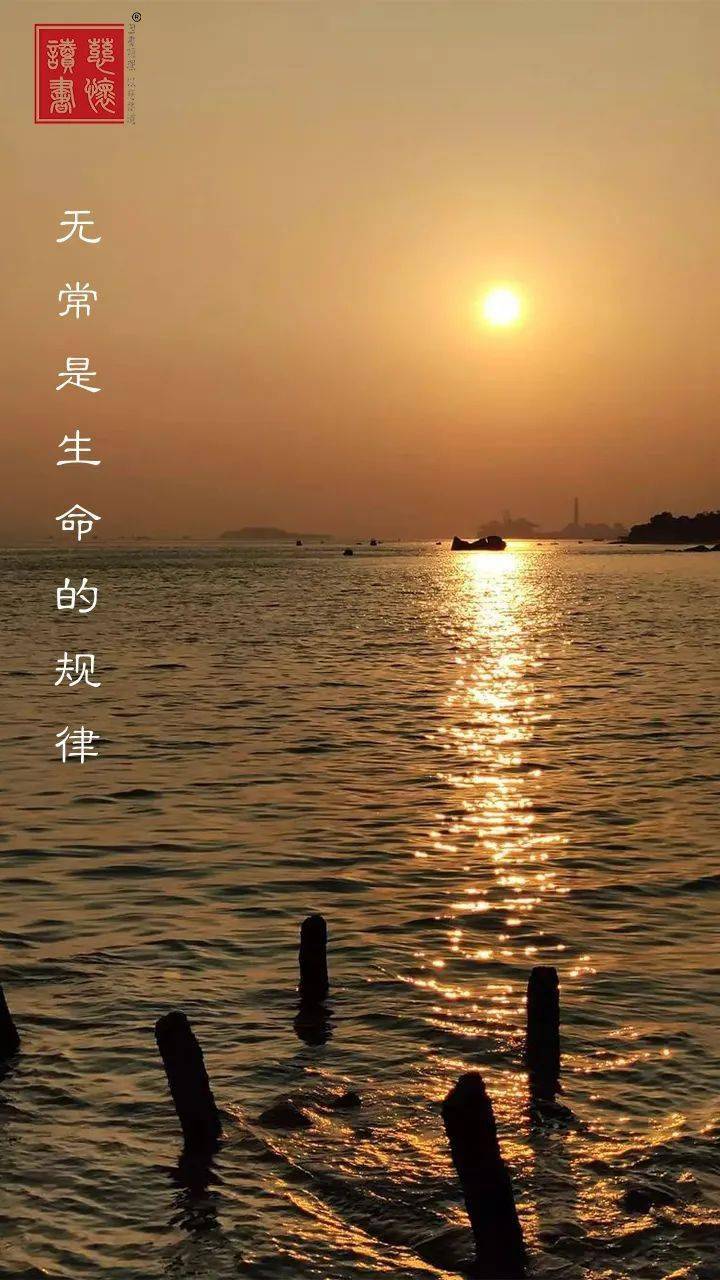 玩转内心世界，禅手机游戏带你体验不一样的乐趣