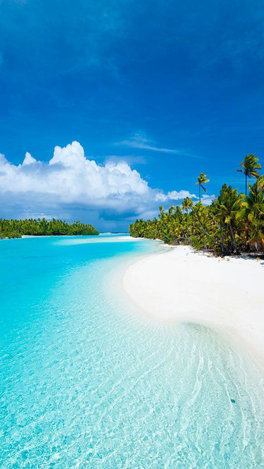 出众壁纸手机游戏_出众的游戏手机壁纸_出色壁纸