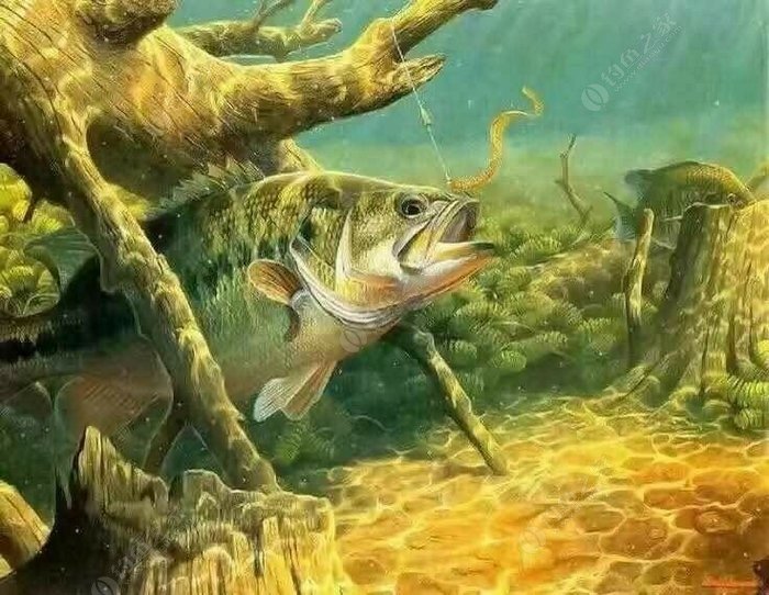 钓鱼手机游戏排行榜推荐_最好的钓鱼手游_钓鱼排行榜app