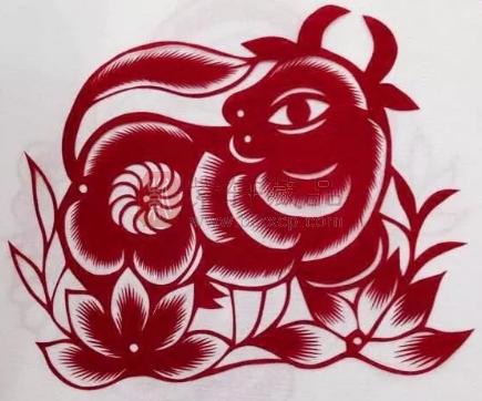 生肖属年龄_生肖属年龄对照表_1994年属什么生肖