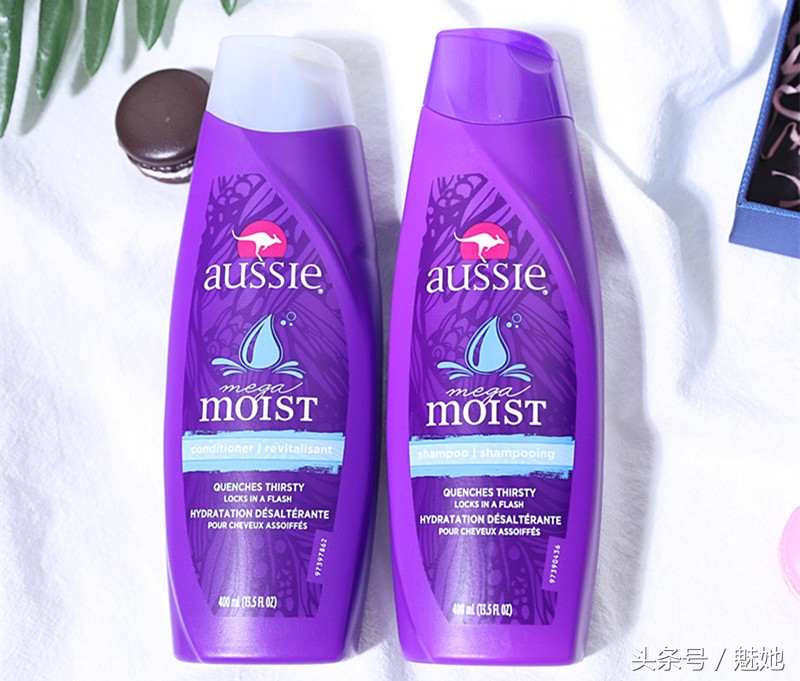 鬼使白_阴阳师黑使鬼御魂搭配_鬼白使御魂搭配