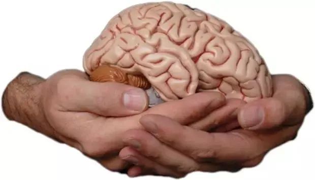 5岁以下玩的手机联机游戏_联机打的游戏手机游戏_联机玩的手机小游戏
