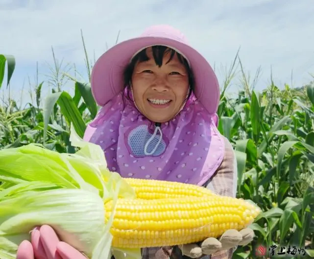 处暑一词的意思_含义意思处暑是什么词_处暑的含义是什么意思