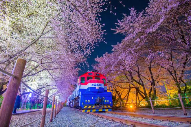 法定假日年龄_2023年法定假日_法定假日年休息算出勤吗