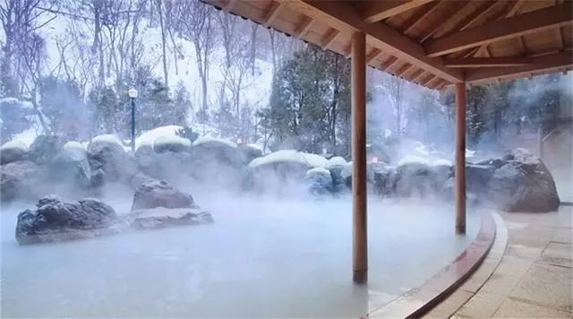 泽城美雪配过什么角色_泽城美雪_泽城美雪结婚了吗