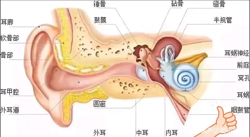 耳机戴耳鸣玩手机游戏有影响吗_戴耳机玩手机游戏导致失聪_戴耳机玩手机游戏耳鸣