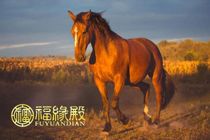 2002年属什么生肖_生肖属年份_2020是什么生肖属年